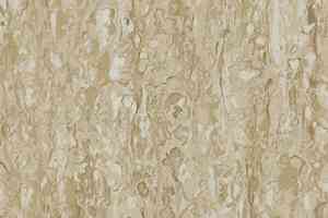 Линолеум Tarkett iq Optima GREY BEIGE 0860 фото  | FLOORDEALER